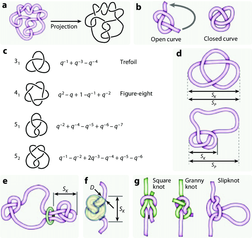 Knot types and features. (a) Knots formally exist only in 3D