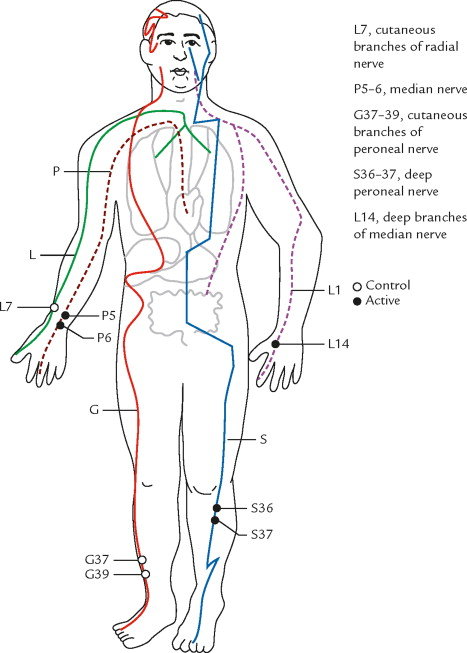 Diagram Of Meridians And Acupuncture Points Or Acupoints That Have Download Scientific Diagram