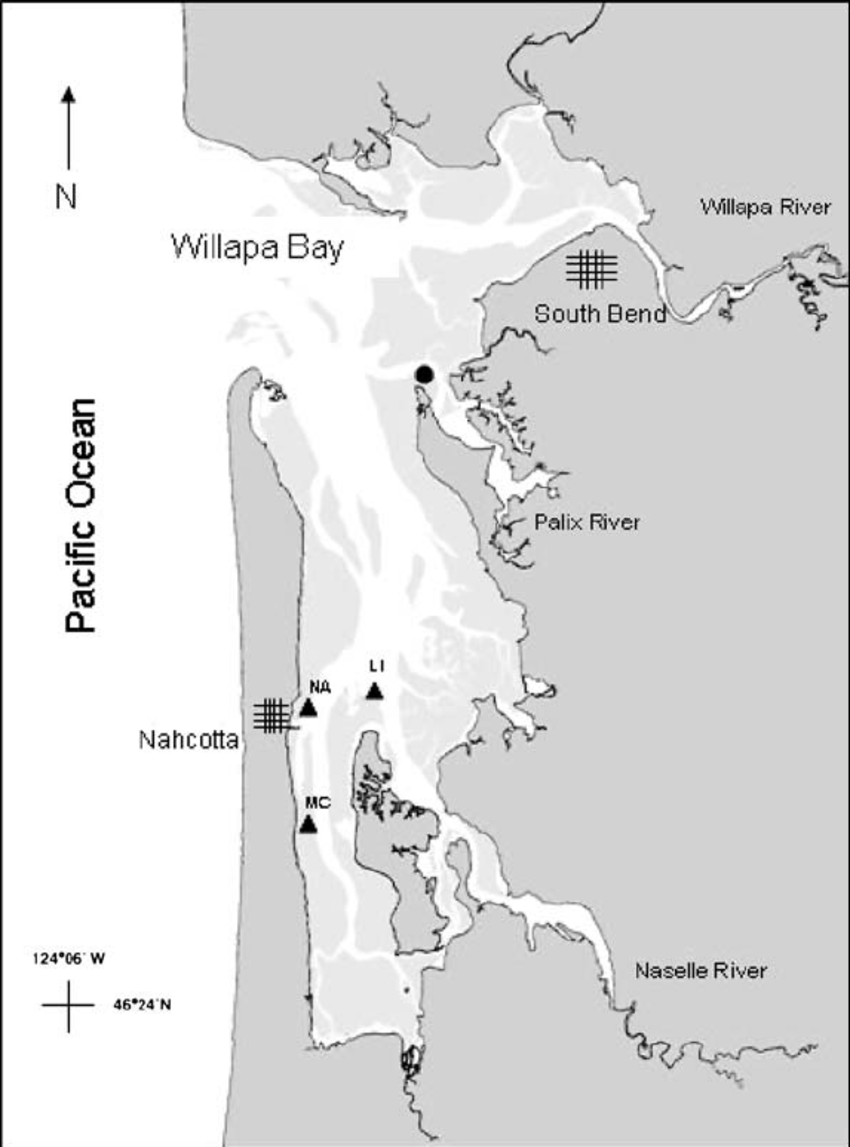 Map of Willapa Bay, Washington showing sampling locations ( filled.. image