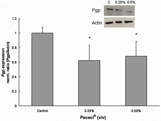 Peceol ® inhibits the Pgp protein expression in Caco-2 cells ...