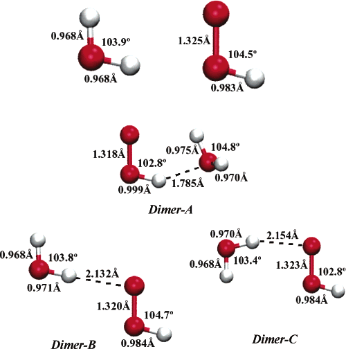 Molecular structures of HO2, H2O, and the three HO2‚‚‚ H2O dimers